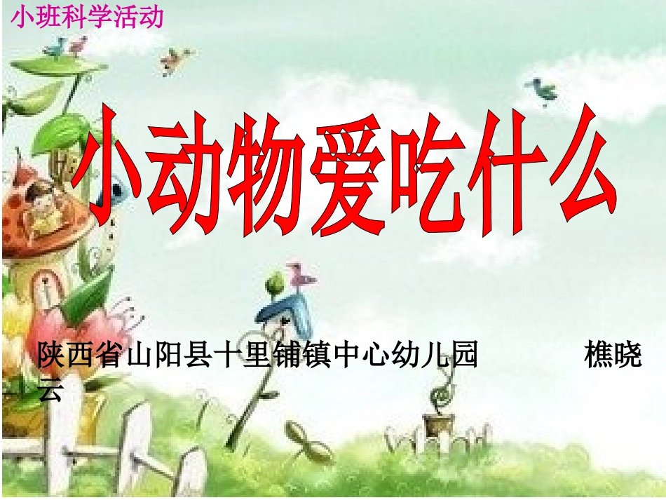小动物爱吃什么_第1页