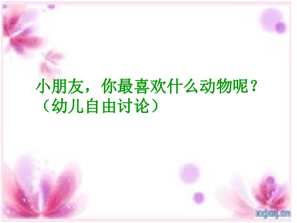 小动物爱吃什么_第2页