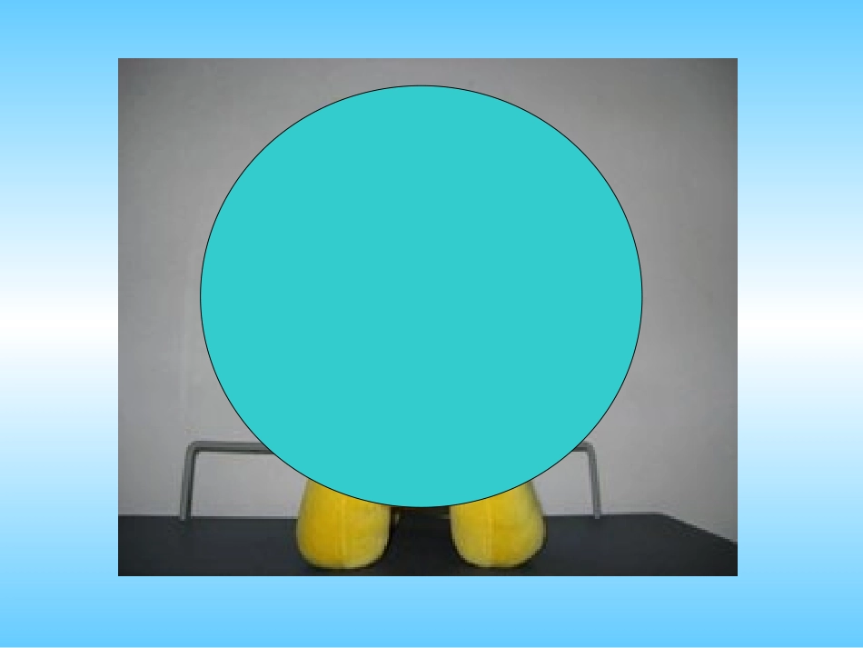 观察物体 (4)_第2页