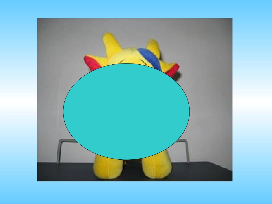 观察物体 (4)_第3页