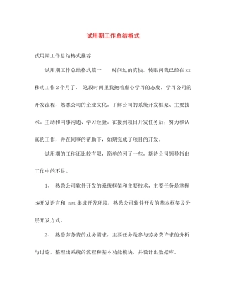 试用期工作总结格式 