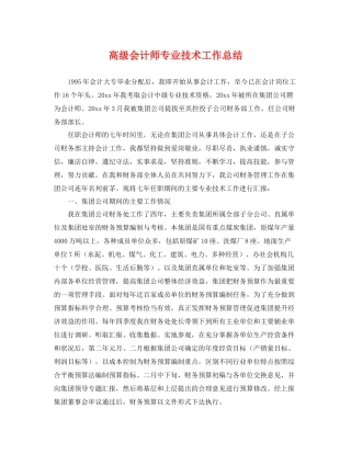 高级会计师专业技术工作总结 
