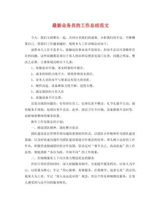 最新业务员的工作总结范文 