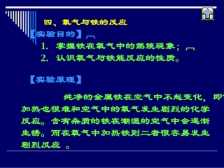 氧气与铁的反应