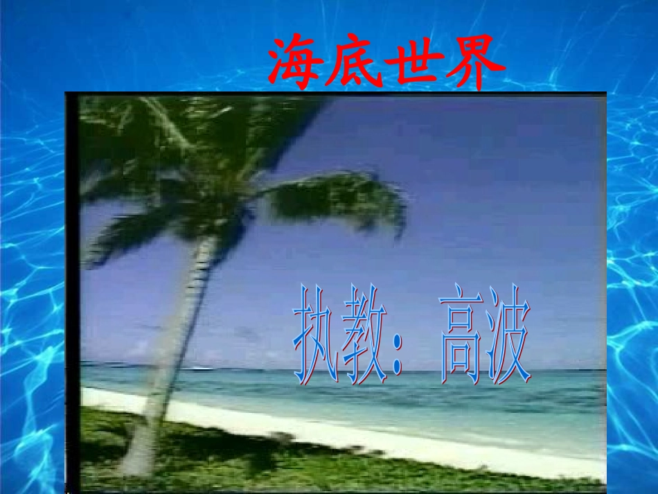海底世界PPT课件_第1页