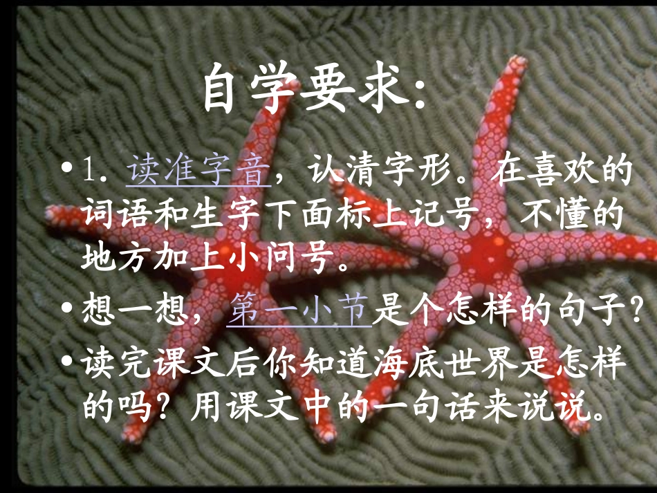 海底世界PPT课件_第2页