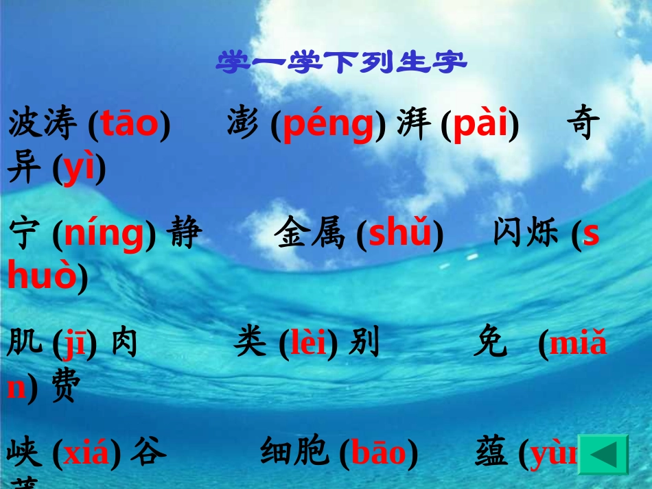 海底世界PPT课件_第3页