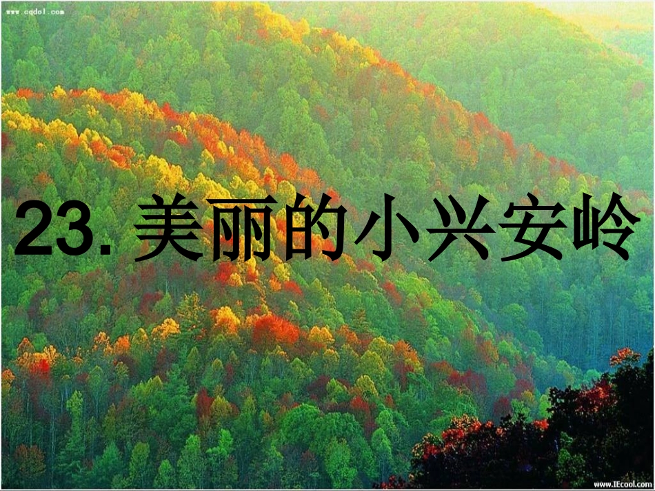 《美丽的小兴安岭》_第1页