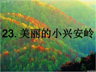 《美丽的小兴安岭》