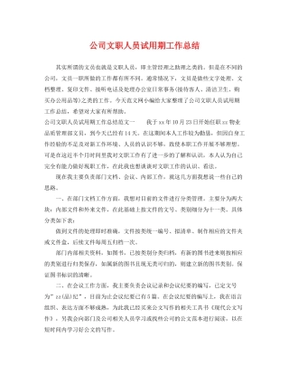 公司文职人员试用期工作总结 
