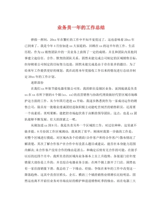 业务员一年的工作总结 
