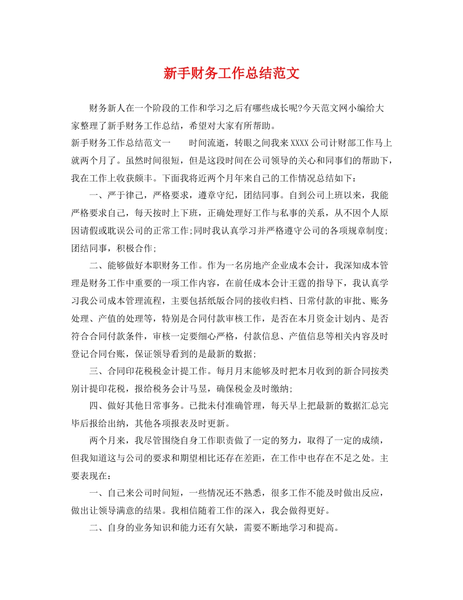 新手财务工作总结范文 _第1页