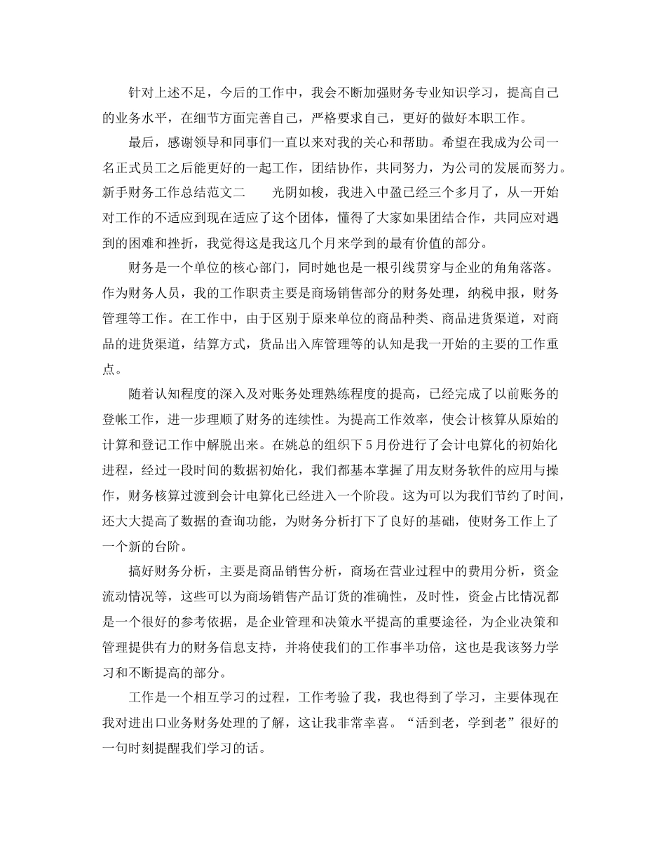 新手财务工作总结范文 _第2页