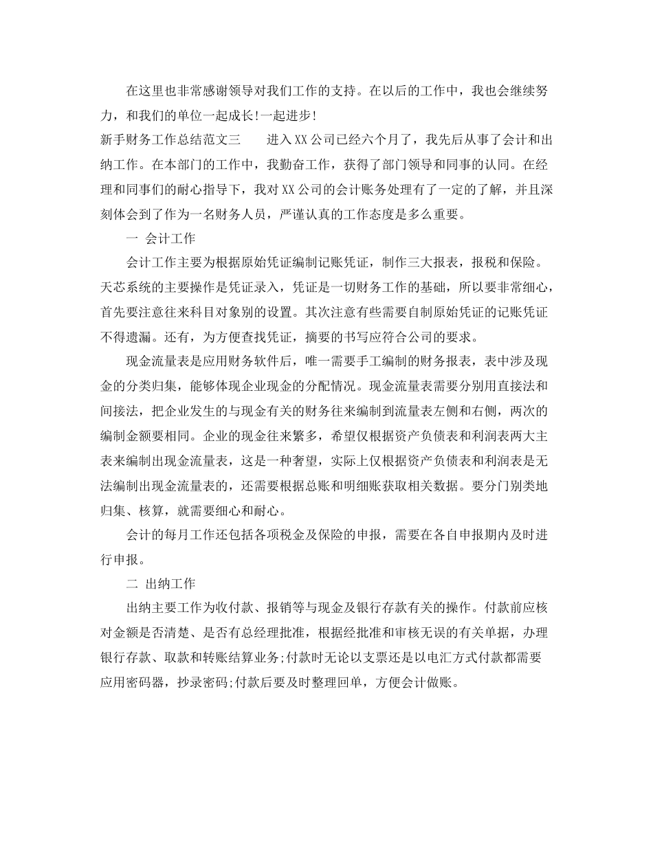 新手财务工作总结范文 _第3页