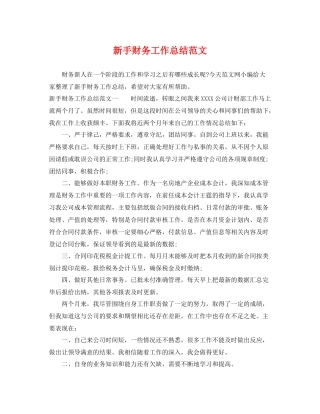 新手财务工作总结范文 