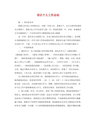项目个人工作总结 