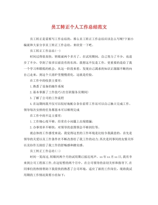 员工转正个人工作总结范文 