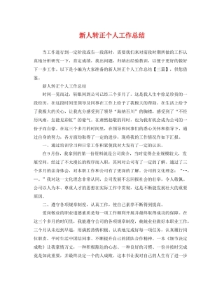 新人转正个人工作总结 