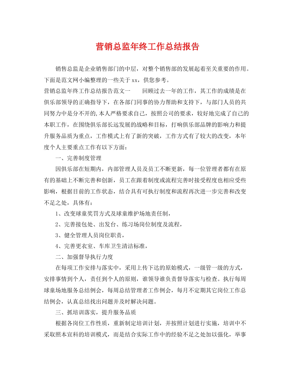 营销总监年终工作总结报告 _第1页