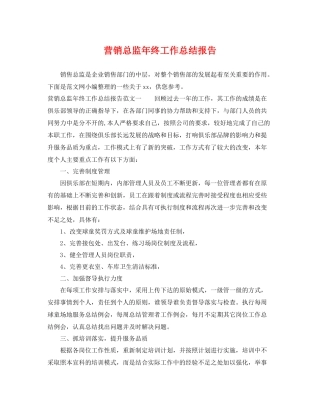 营销总监年终工作总结报告 