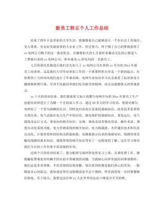 新员工转正个人工作总结 