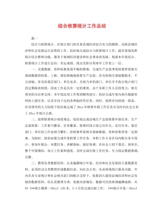 综合核算统计工作总结 