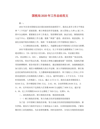国税局2020年工作总结范文 