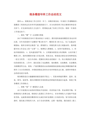 税务稽查年终工作总结范文 