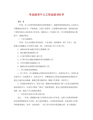 专业技术个人工作总结900字 