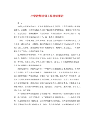 小学教师培训工作总结报告 