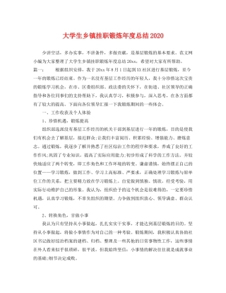 大学生乡镇挂职锻炼年度总结2020 