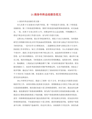it商务年终总结报告范文 