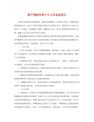 财产保险年终个人工作总结范文 