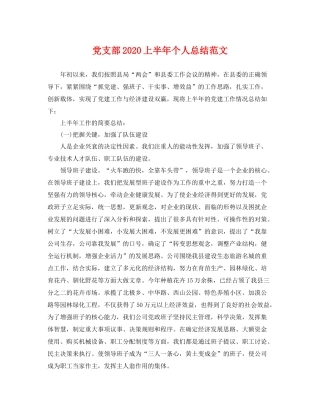 党支部2020上半年个人总结范文 