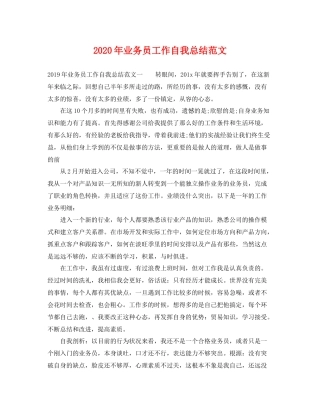 2020年业务员工作自我总结范文 