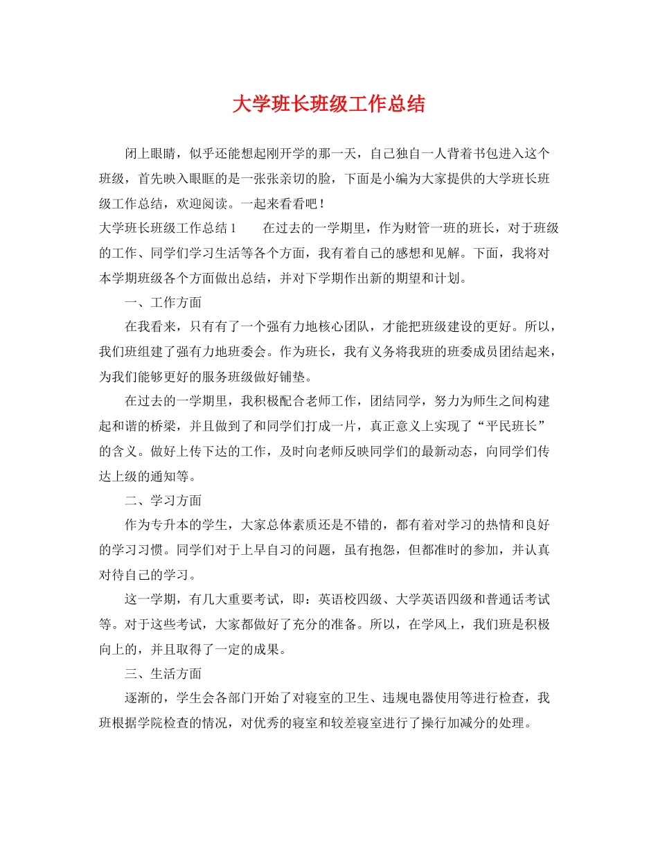 大学班长班级工作总结 _第1页