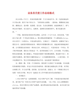 业务员月度工作总结格式 