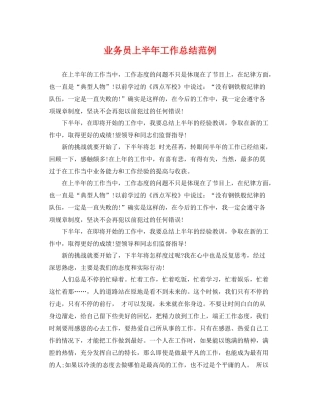 业务员上半年工作总结范例 