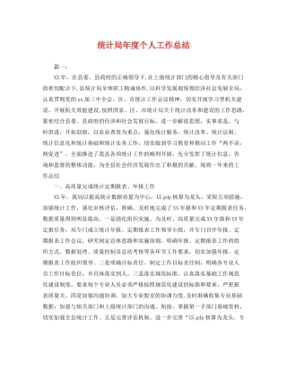 统计局年度个人工作总结 