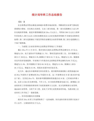 统计局年终工作总结报告 