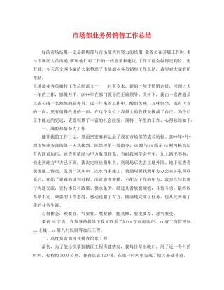 市场部业务员销售工作总结 