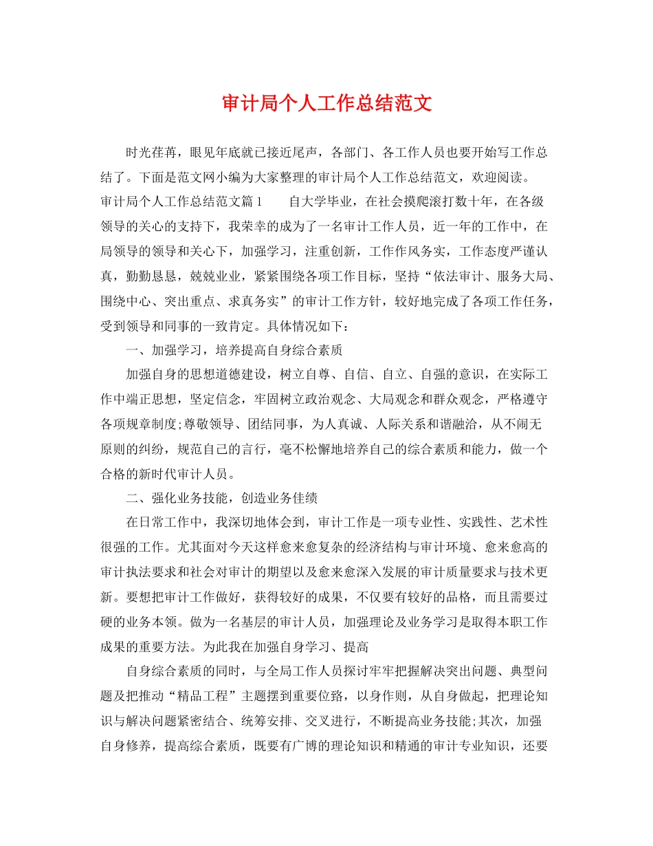 审计局个人工作总结范文 _第1页