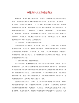 审计局个人工作总结范文 