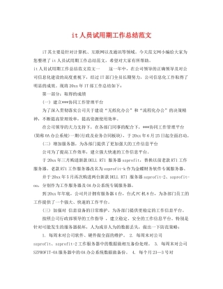 it人员试用期工作总结范文 