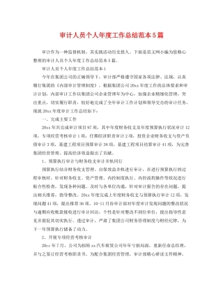 审计人员个人年度工作总结范本5篇 
