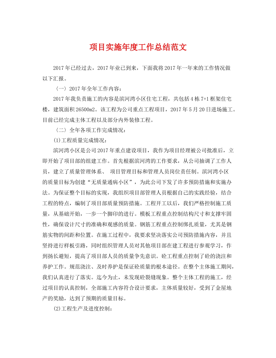 项目实施年度工作总结范文 _第1页