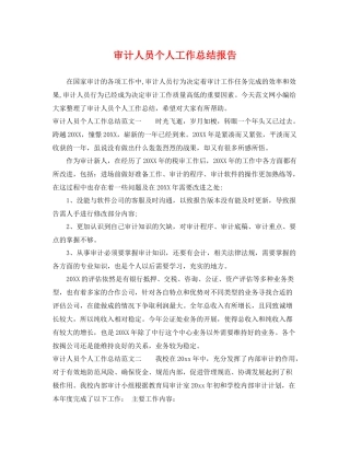 审计人员个人工作总结报告 