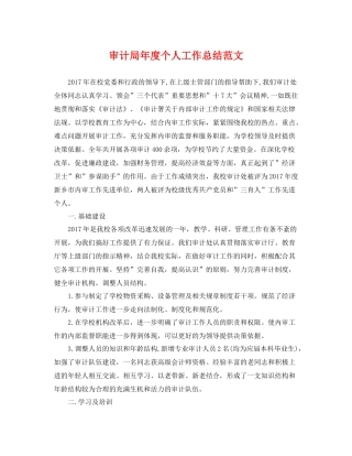 审计局年度个人工作总结范文 