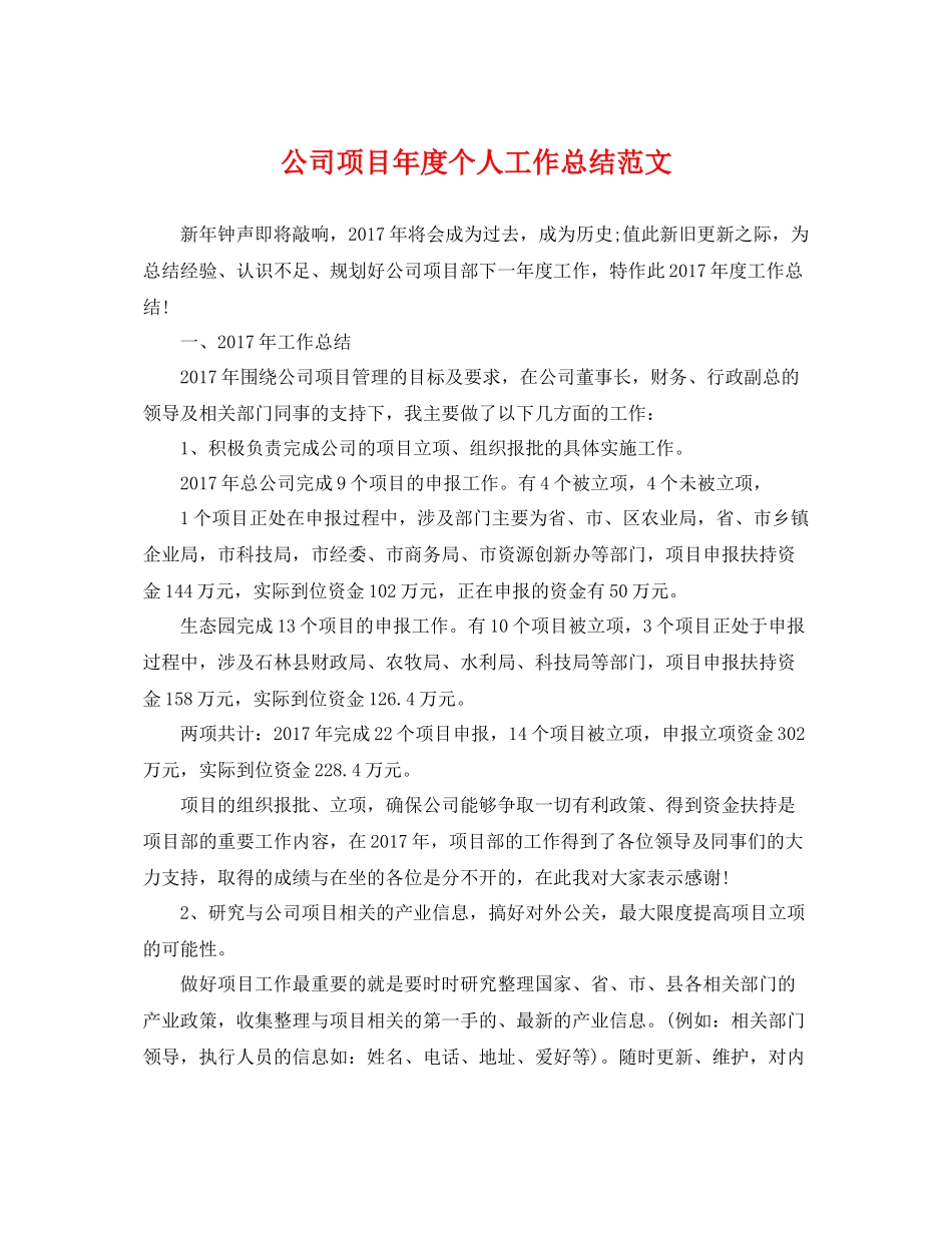公司项目年度个人工作总结范文 _第1页