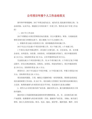 公司项目年度个人工作总结范文 